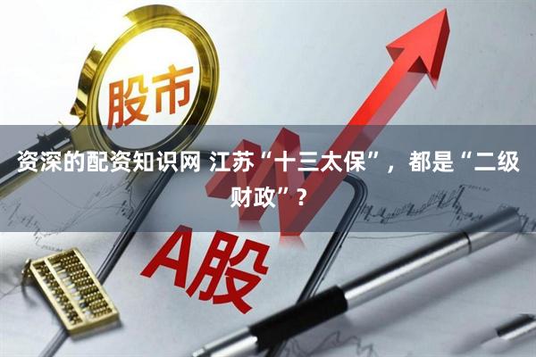 资深的配资知识网 江苏“十三太保”，都是“二级财政”？