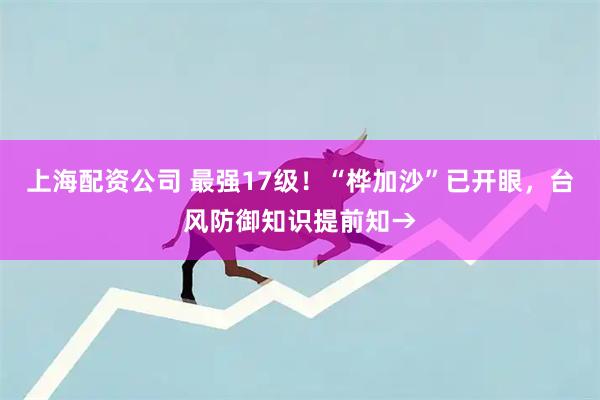 上海配资公司 最强17级！“桦加沙”已开眼，台风防御知识提前知→